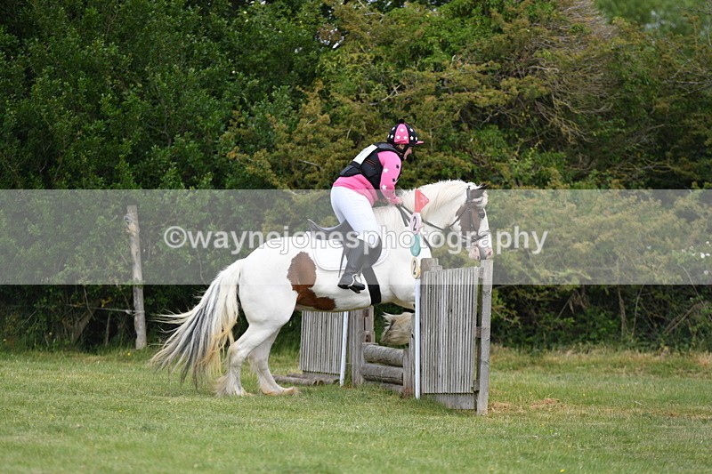 WJ5_2554 - Class 2 40cm