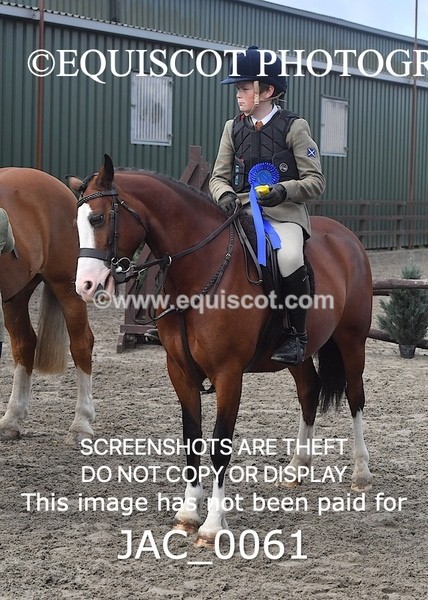 JAC_0061 - CLASS 3 Intermediate Working Hunter (0.70m - 0.85m)