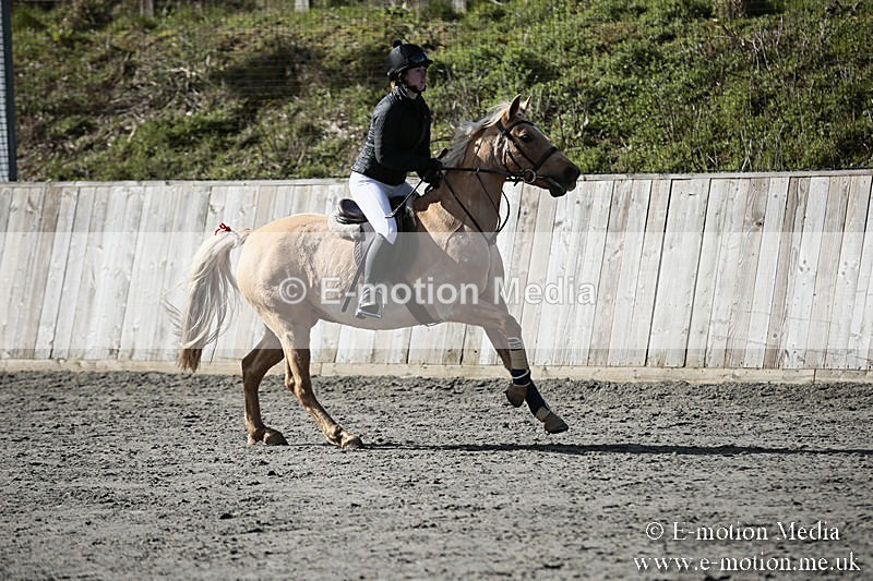 BVRC SJ 170319 259 - Bourne Valley Riding Club Showjumping 17/03/19