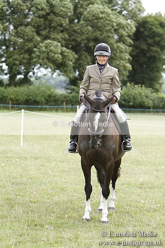 BVR160717-1837 - Ring 3 BVRC Show 16/07/17