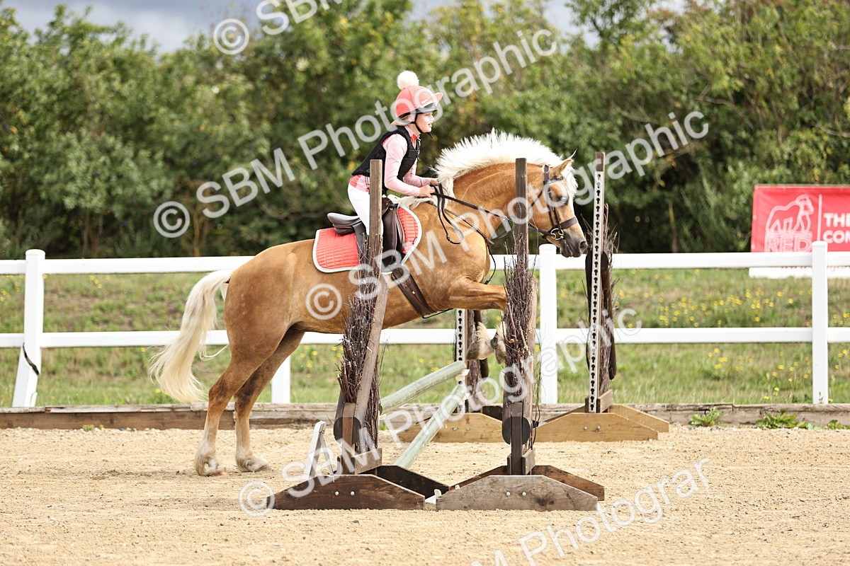 SBM_002934 - 50cm