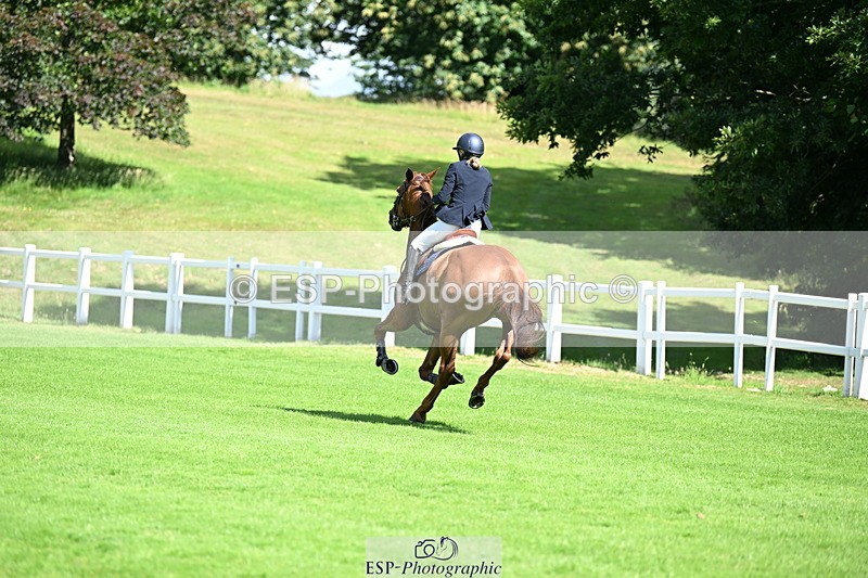 250703A-101318-02532 - Cls 1 Snr Foxhunter