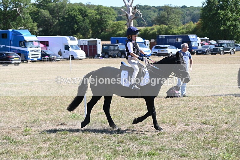 WJ6_8383 - Class 37a Best Loan Pony Ridden