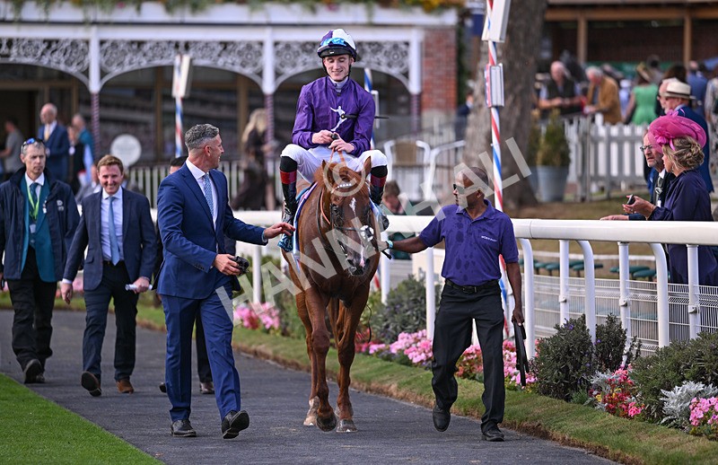 190826-268 Henley On Thames - Race 7 17.20pm Sky Bet Nursery Handicap