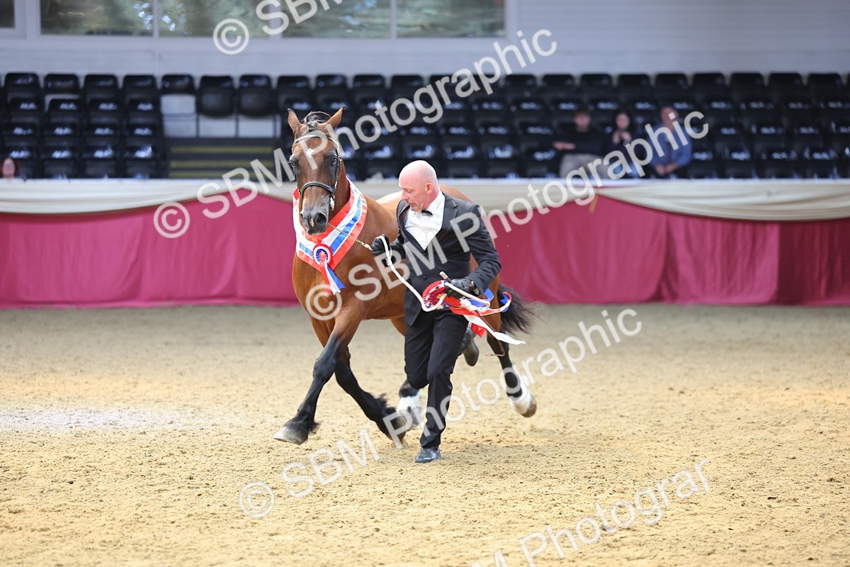 SBM_23269 - Supreme Final - IH Champion