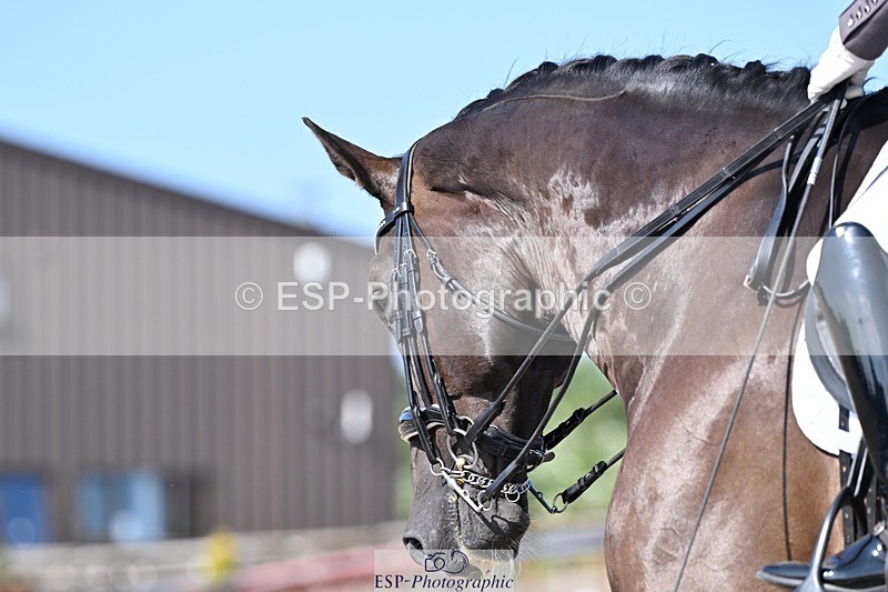 250620-164448-05390 - BD Cls 13 - Adv Medium 5