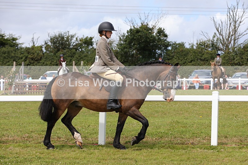 1X9A3961 - Class 32: Show Hunter Pony 153cm and under