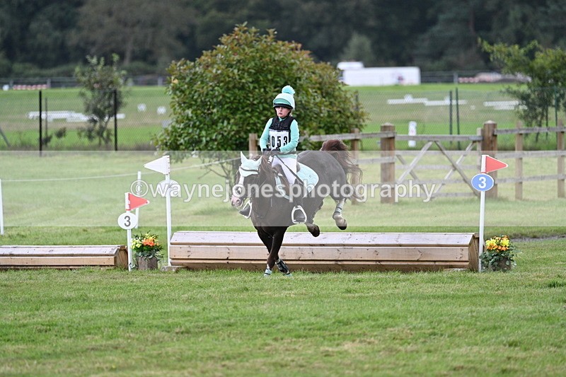 WJ7_8370 - 60cm Time 12:11 to 12:30