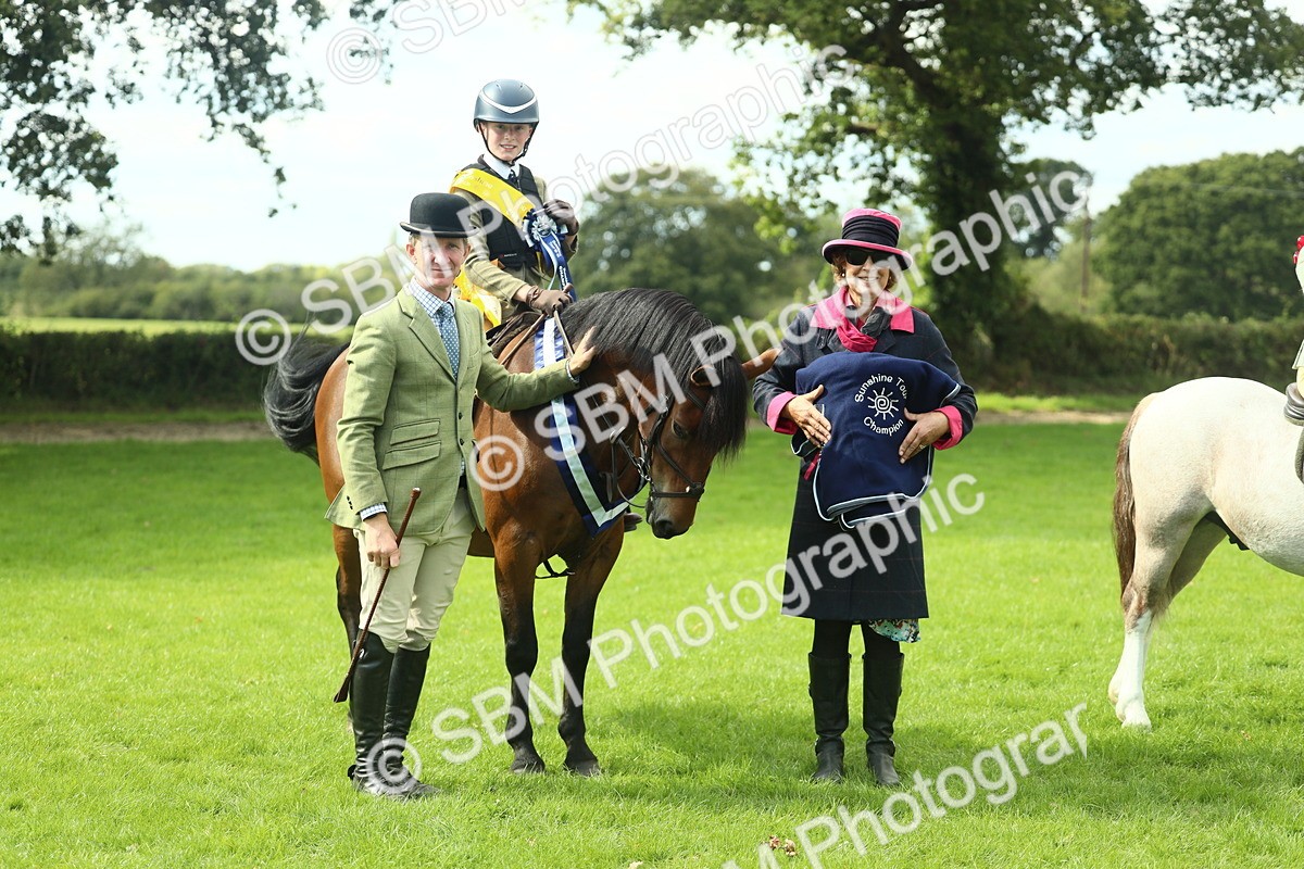SBM_45011 - Working Hunter Pony Supreme Championship