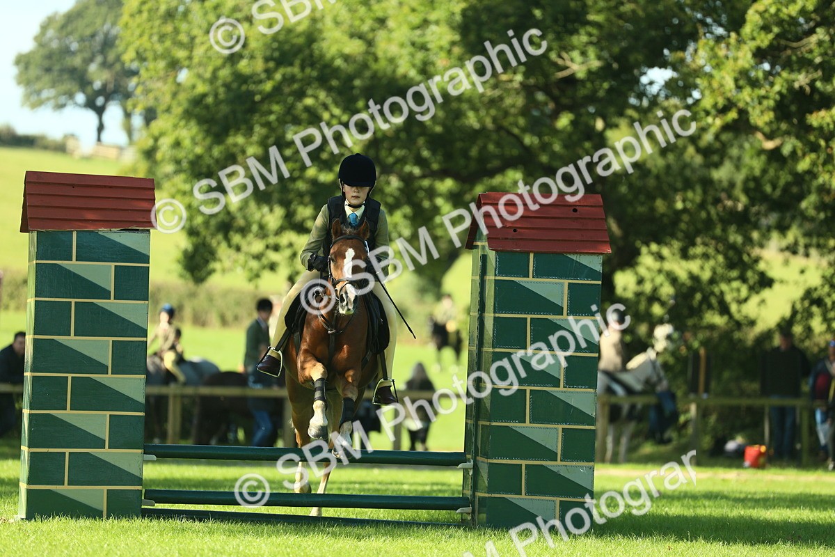 SBM_36427 - S29 - Novice & Newcomers Working Hunter Pony