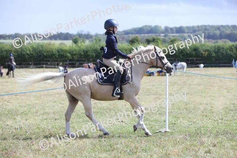 20250831-2835 - Class 18 - Childs First Pony