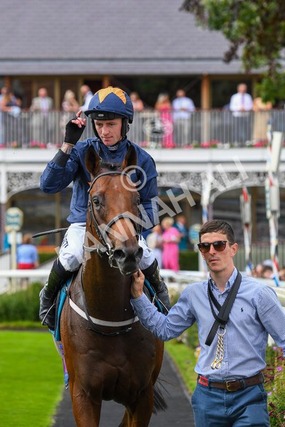 290723-Race 4-Blue Prince-0715 - Race 4 4.00pm 50K ITV7 Weekly Jackpot Nursery Handicap