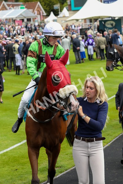 140624-Race 1-Tolstoy-5321 - Race 1 1.50pm Andy Thornton Hospitality Furniture Apprentice Handicap
