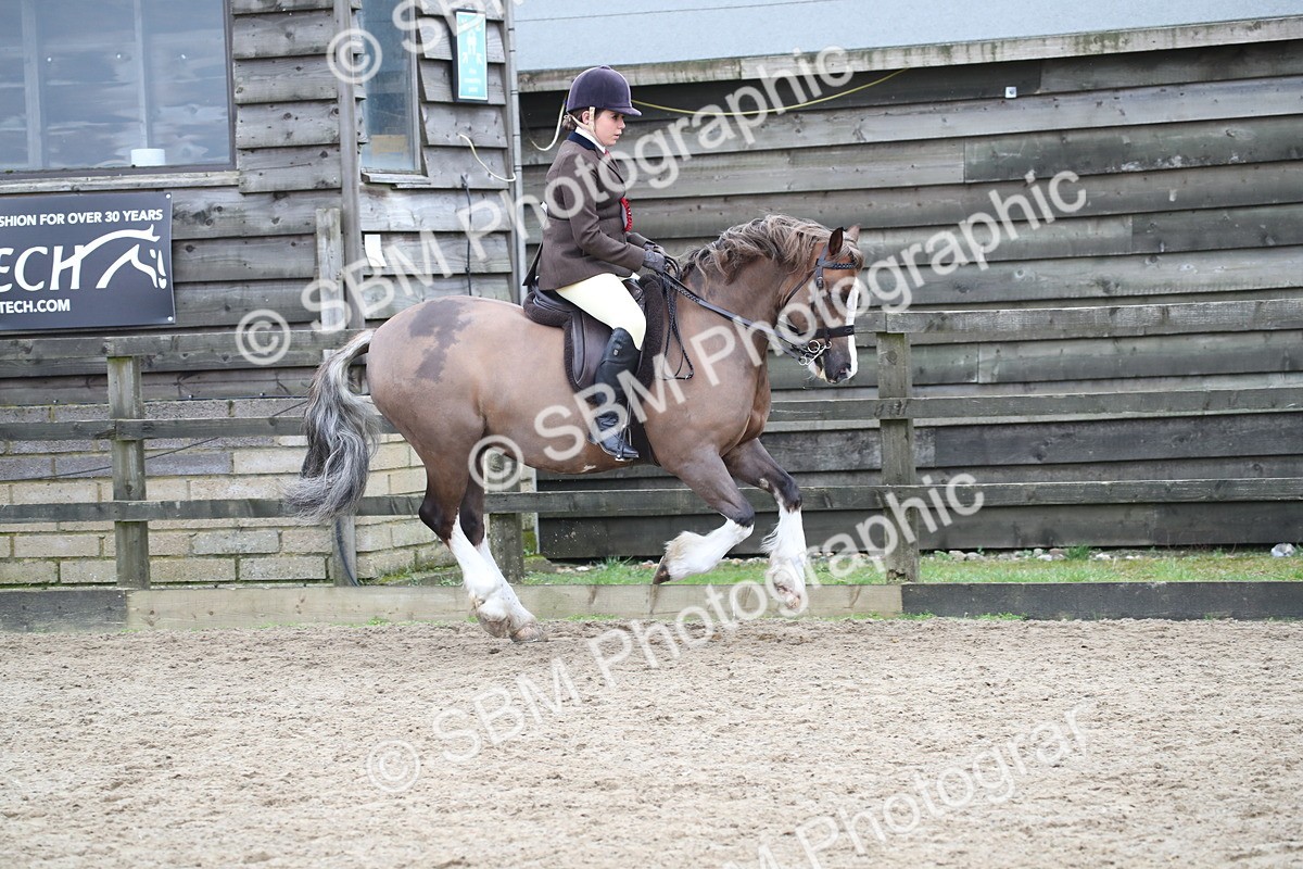 SBM_007068 - Class 10-13 - RIHS Small Large Breeds