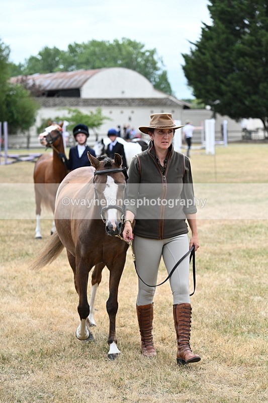 WJ7_1409 - Class 4 Prettiest Mare up to 14.2hh in hand