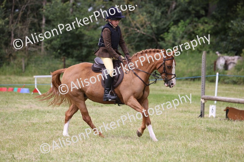 20260614-2907 - Class 22 - Open Working Hunter