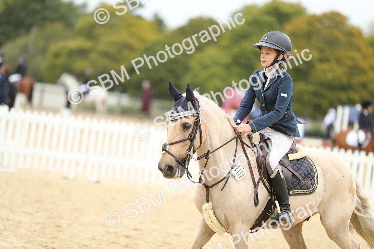 SBM_70196 - J15 - Junior Pony 70cm Championship