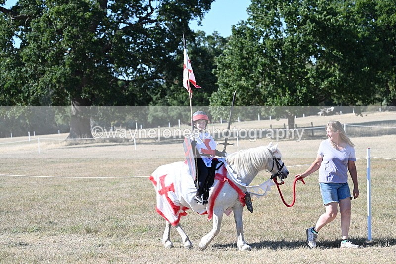 WJ7_2340 - Class 45 Fancy Dress (My Fav)