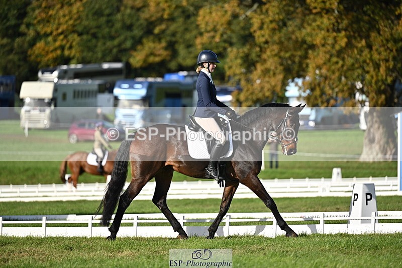 251024A-152244-14026 - E-397-Verity.Leggett