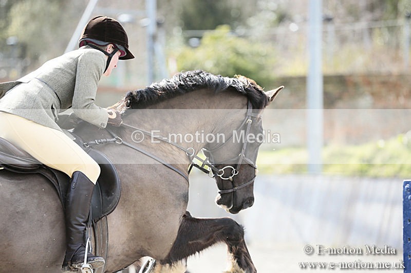 BVRC SJ 170319 454 - Bourne Valley Riding Club Showjumping 17/03/19