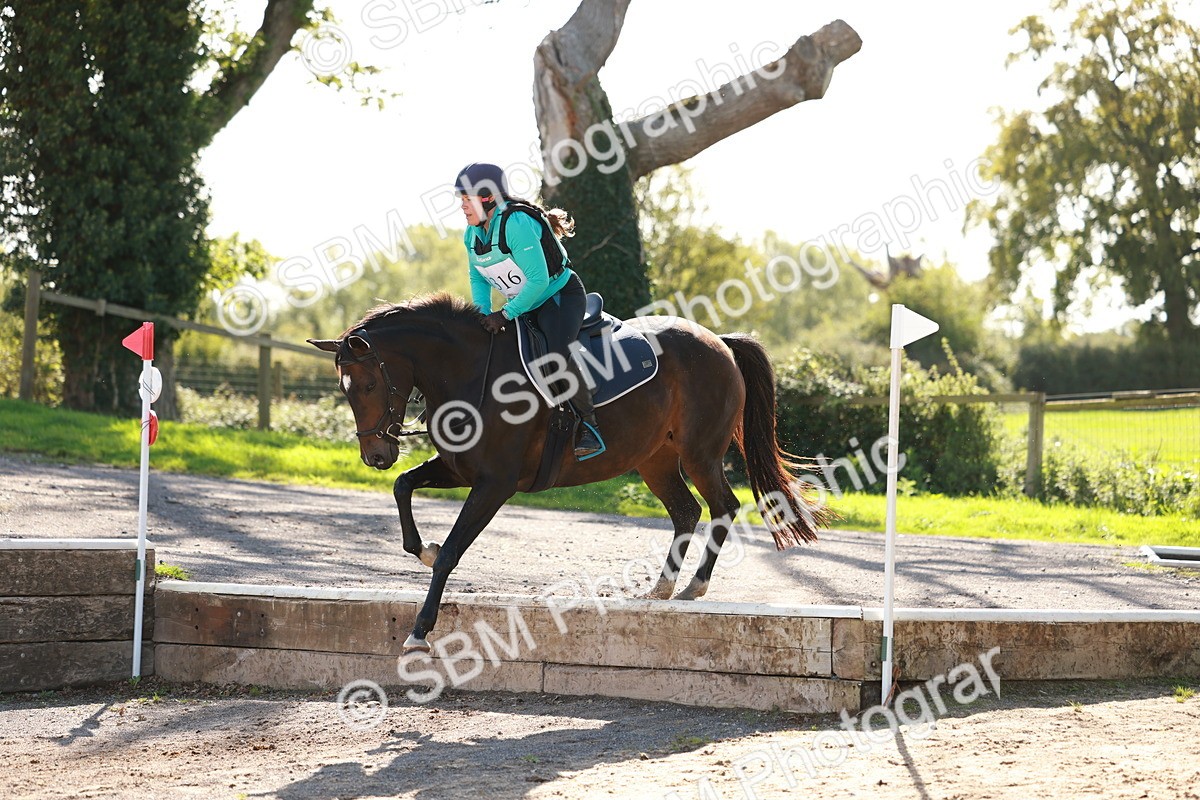 SBM_17382 - E4b - Eventers Challenge 60cm Open