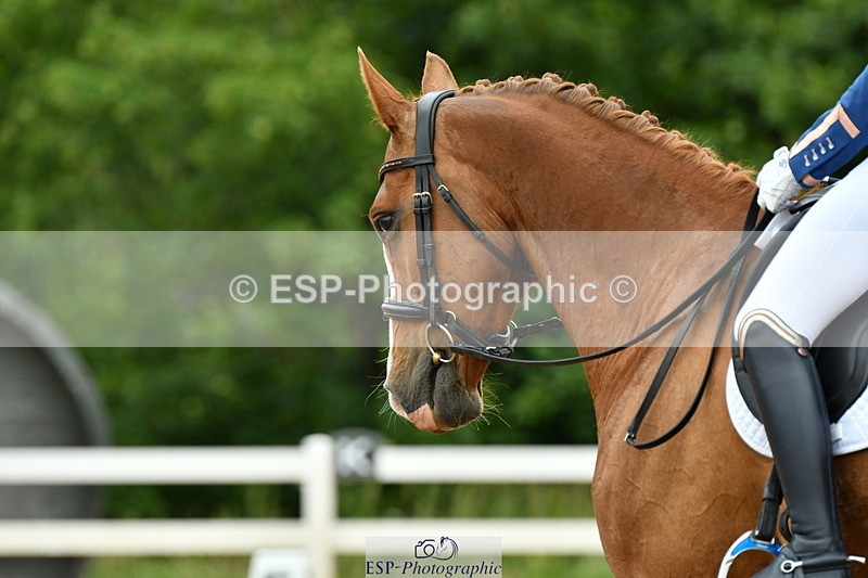 230630A-105728-00613 - Cls 9+12 Music Elementary + Medium