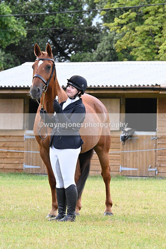WJ7_7201 - Class 5a Most Handsome Gelding in Hand