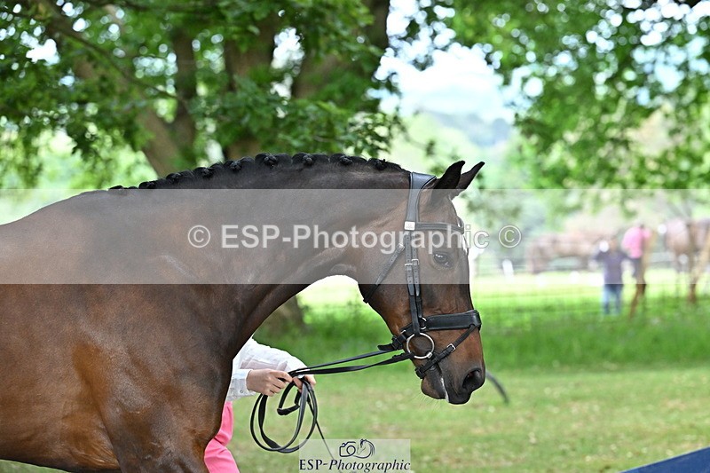 250521A-143728-00128 - A-011-Milly.Assheton-ILEXA