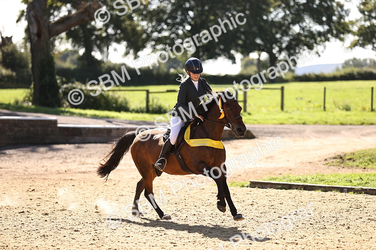 SBM_38580 - J39 - Senior 85cm Championship