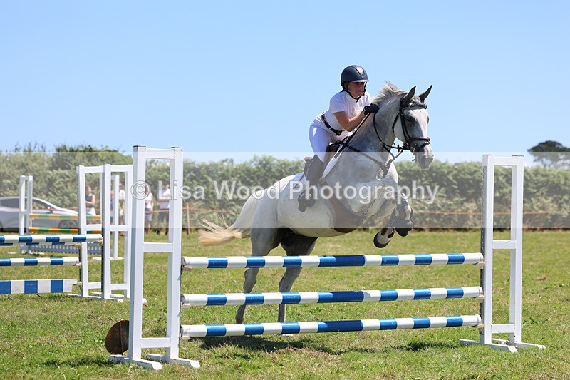 3E7A5611 - Class 9: Senior British Novice/90cm open