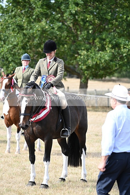 WJ7_7865 - Ridden Championship