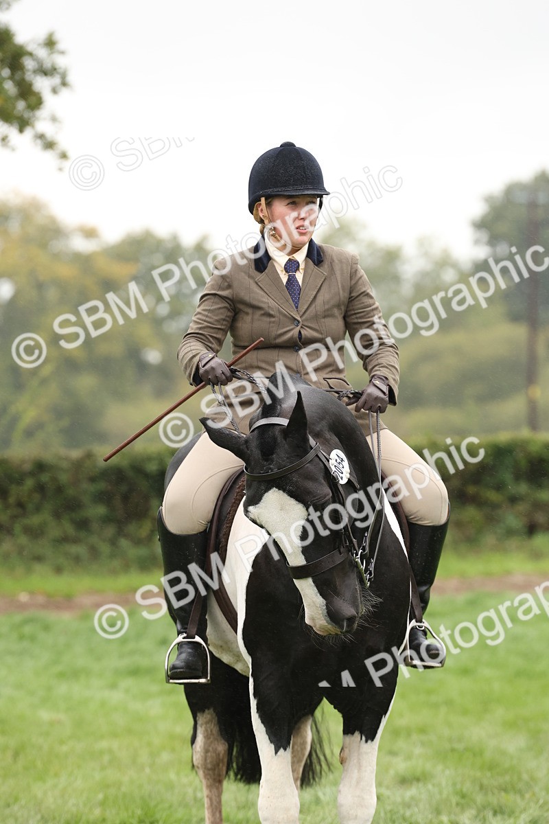 SBM_69851 - S69 - Show Cob Ridden