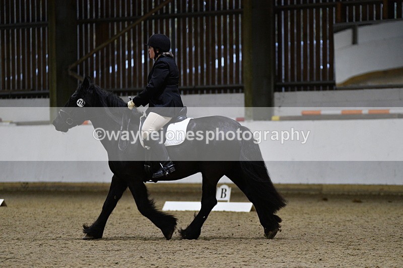 WJ5_8530 - Class 5 Novice Test 3