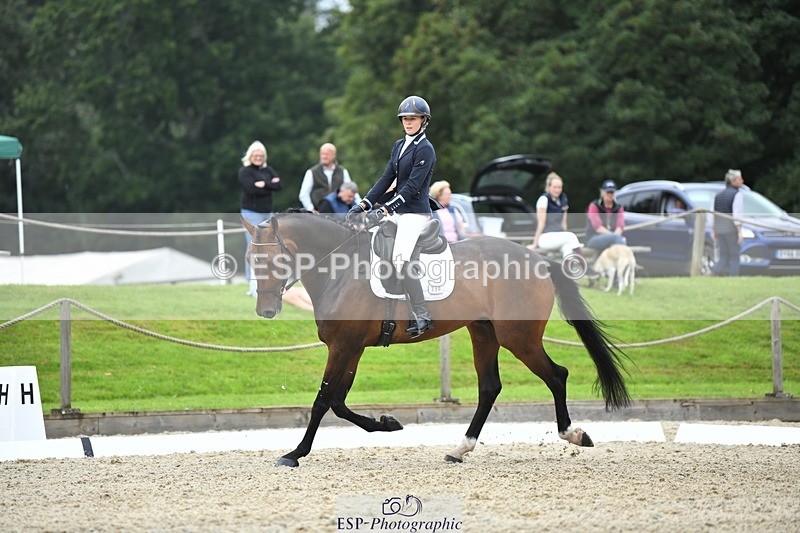 230812-124544-04214 - Cls 6 Novice Silver 12.10 to End