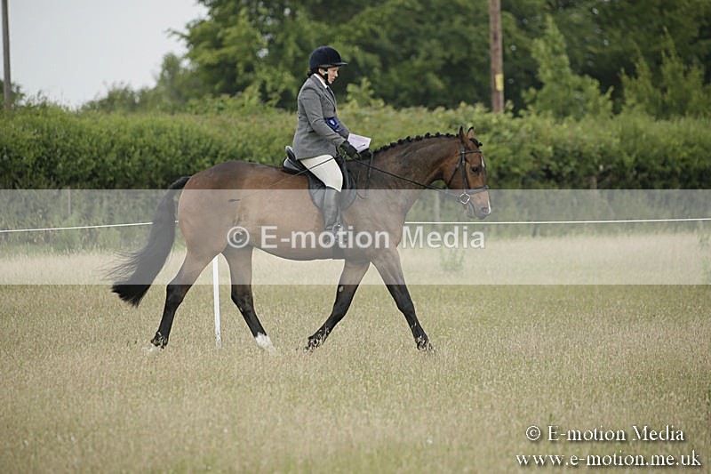 B230619-0200 - Bourne Valley Riding Club Summer Show 23/06/19