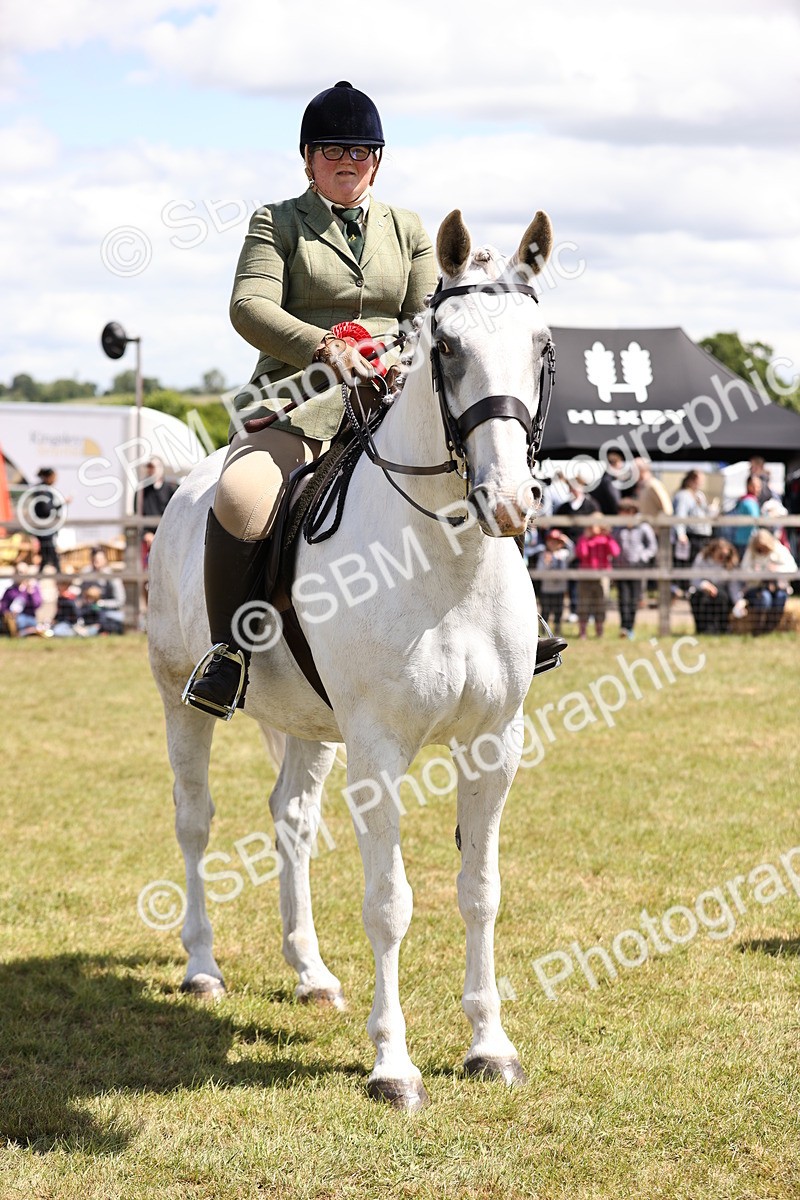 SBM_14757 - Class 88-89 - LIHS BSHA Rising Star of Ridden Hunter Type