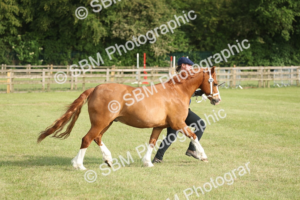 SBM_10584 - Class 33-38 - SSADL RIHS Qualifiers