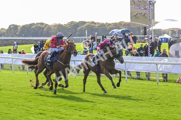 111024-Race 1-Empirestateofmind-1318 - Race 1 1.30pm William Hill Top Price Guarantee Autumn Handicap