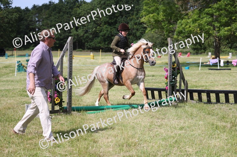 20260614-0744 - Class 20 - Beginners Working Hunter Pony