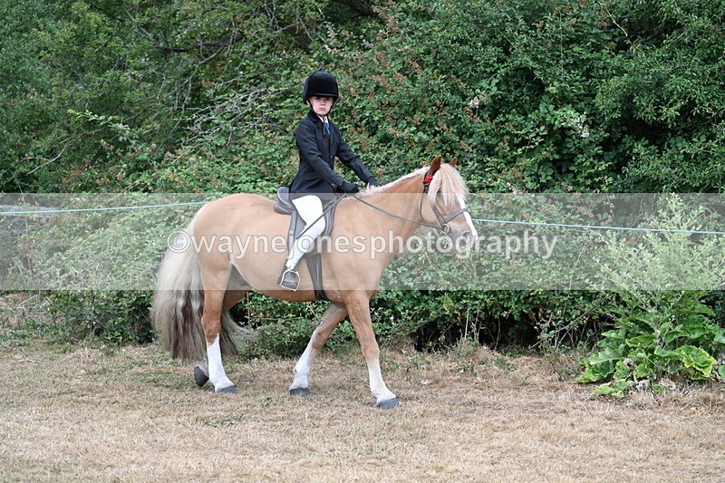 WJ7_6948 - Class 2 Best Rider