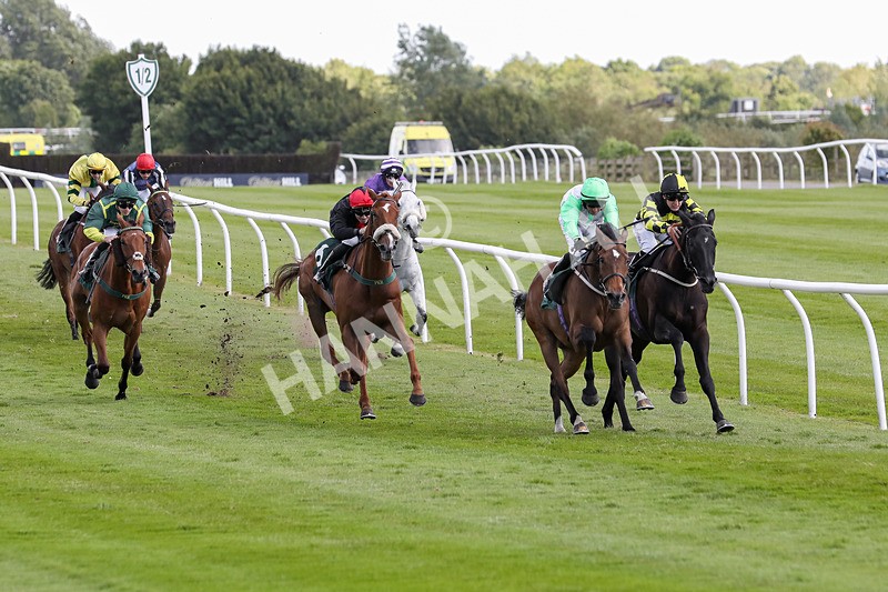 080624-Race 5-Gibside-4879 - Race 5