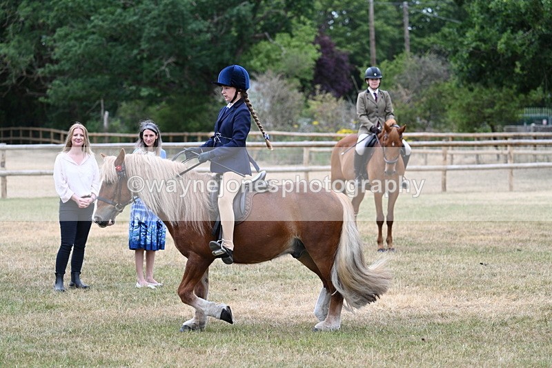 WJ7_0437 - Class 2 Best rider