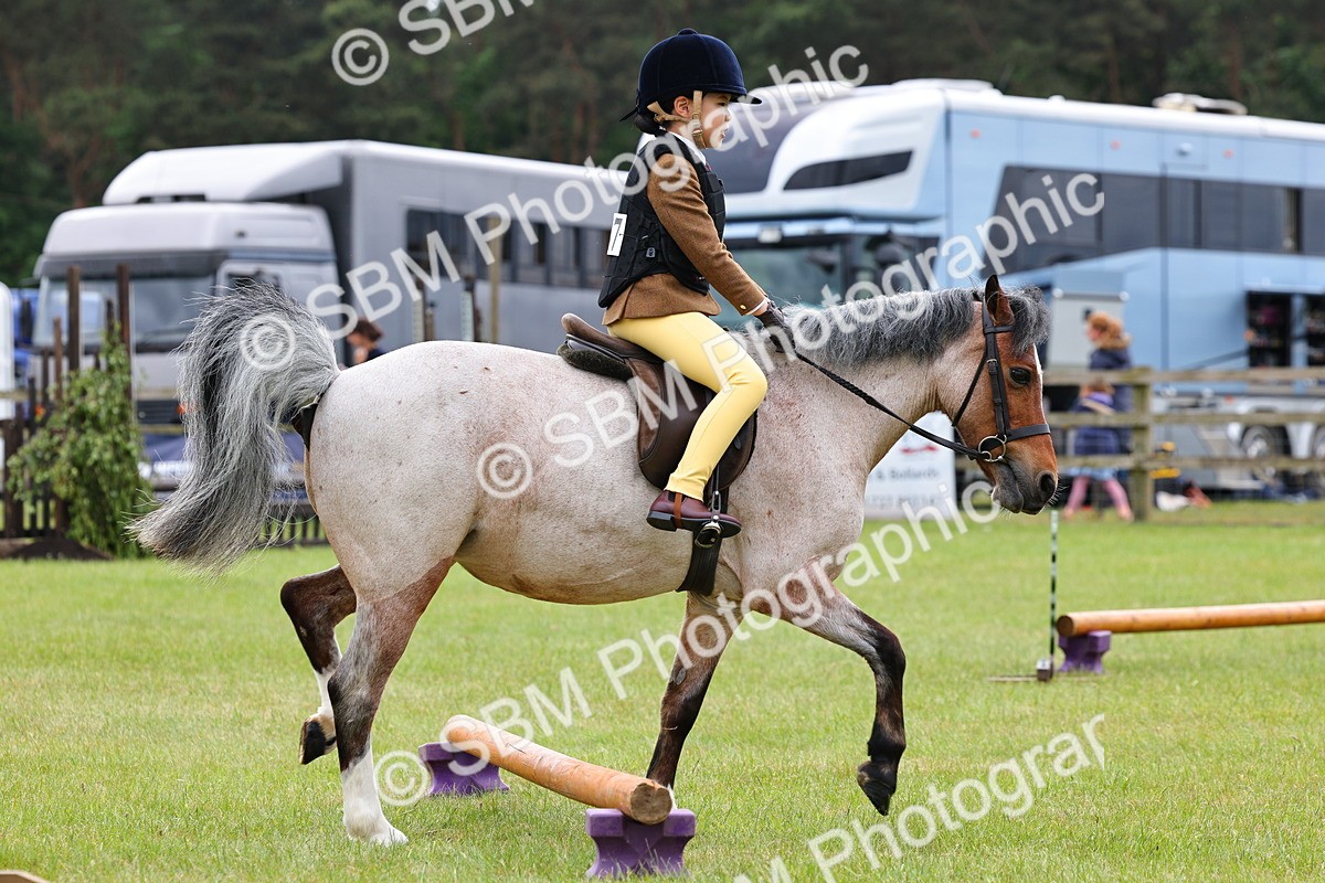 SBM_08601 - Class 42-43 - LIHS BSPS Heritage Working Sports Pony