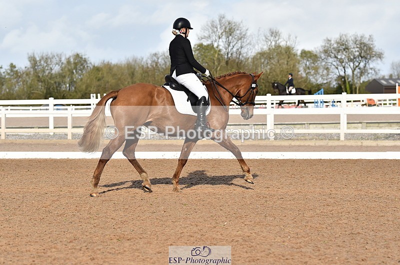 231104A-120426-01668 - Cls 5 Novice 37A