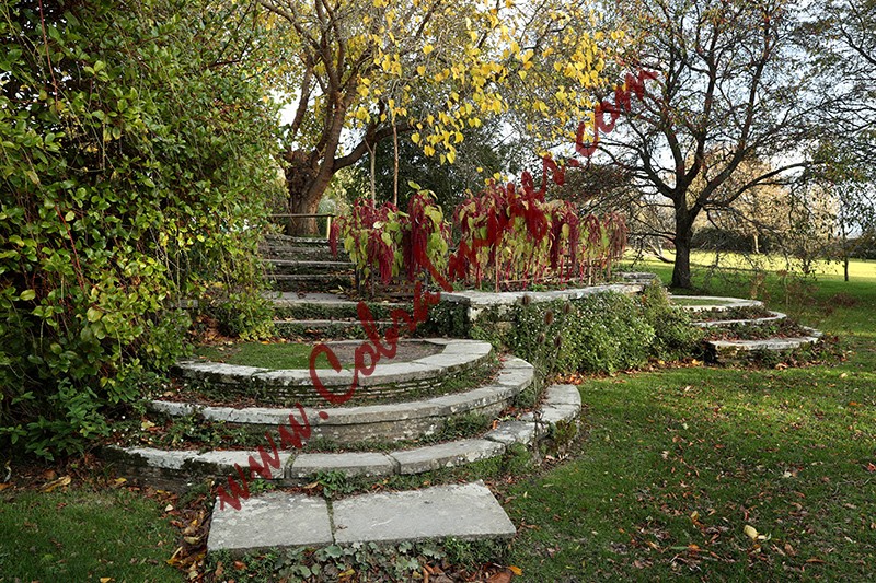 19 - Great Dixter, early November 2020