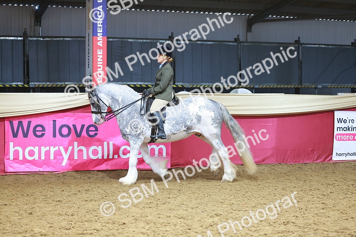 SBM_12482 - Class 103 - HOYS Veteran Qualifier - Ridden Pre Vet