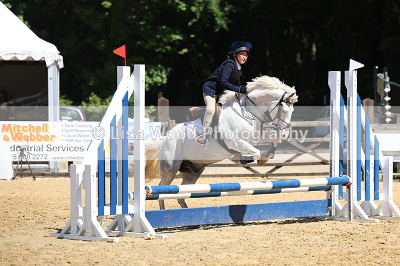 3E7A2331 - Class 4/5: 60cm Open Teams and Individuals