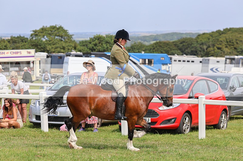 IMG_3727 - M & M Ridden Championship