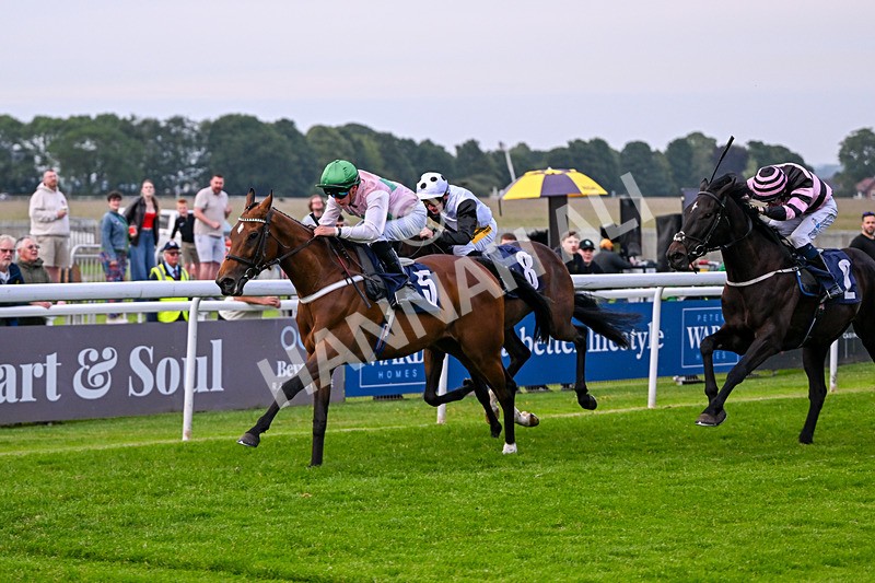 160626-Race 5-Anificas Beauty-5231 - Race 5 20.30pm Churchill Tyres Handicap