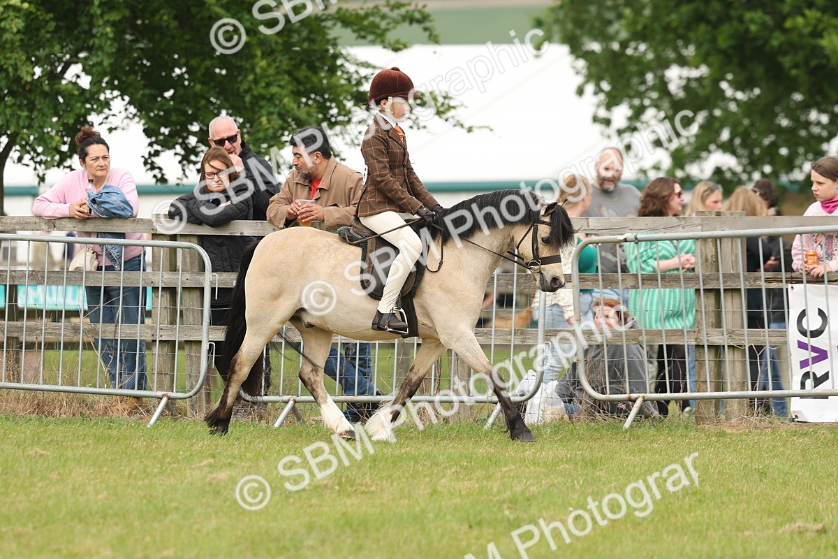 SBM_07090 - Class 76-77 - Ridden M&M Welsh Ponies